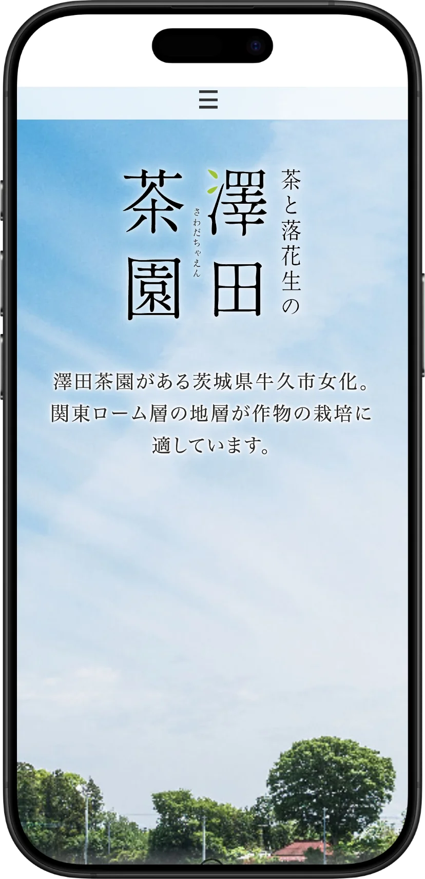 澤田茶園さまのプロモーションサイト