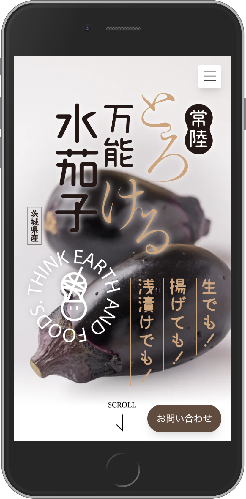 農業革命さま「とろける水茄子」のプロモーションサイト