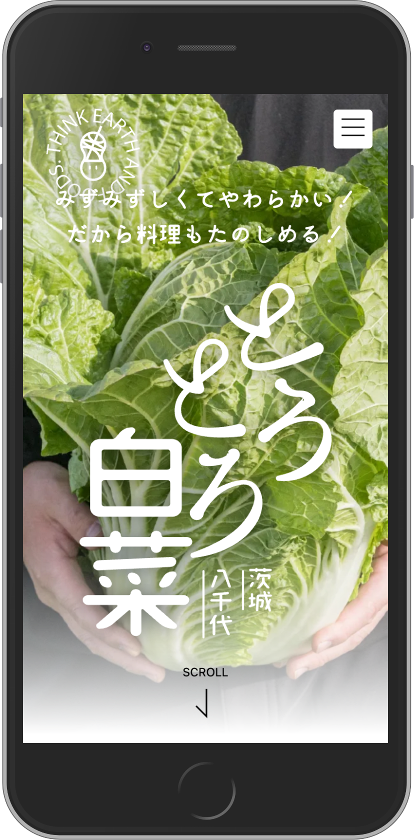 農業革命さま「とろとろ白菜」のプロモーションサイト